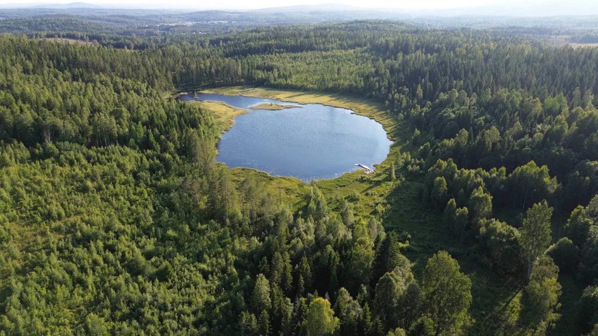 Ein stiller See, umgeben von schwedischem Wald